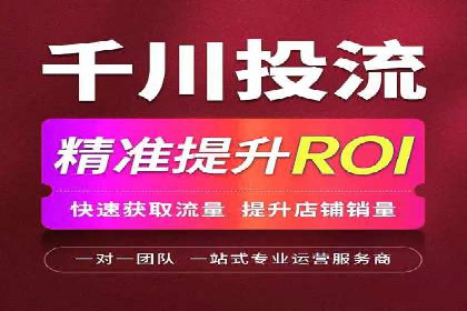 谷歌竞价案例：成功案例分析及启示